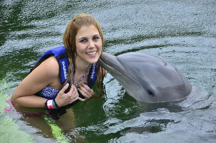 Excursion de baño con delfines riviera maya - 1