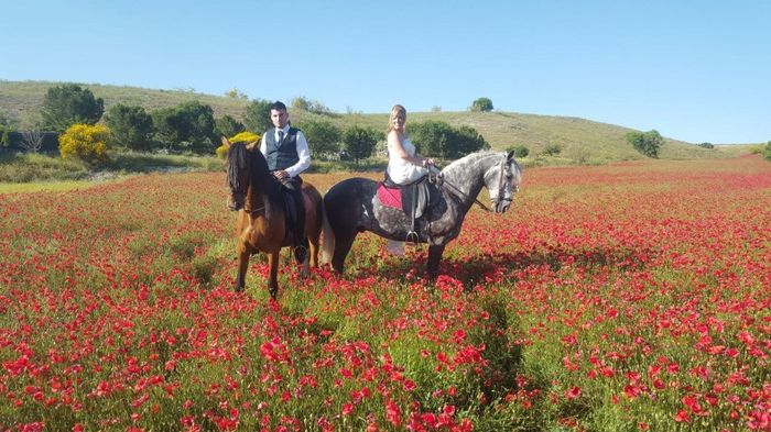 Novios,caballos y amapolas combinación perfecta jaja