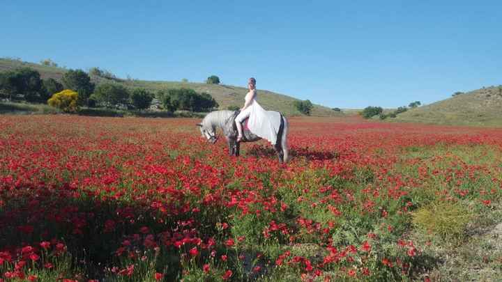 Postboda(monto a caballo por eso lo hicimos asi jijiji)