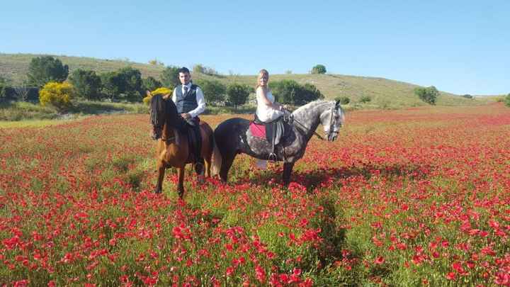 Novios,caballos y amapolas combinación perfecta jaja