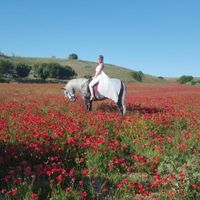 Postboda(monto a caballo por eso lo hicimos asi jijiji)