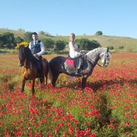 Novios,caballos y amapolas combinación perfecta jaja