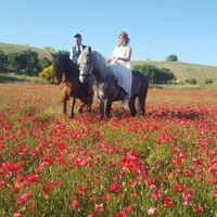 Caballitos