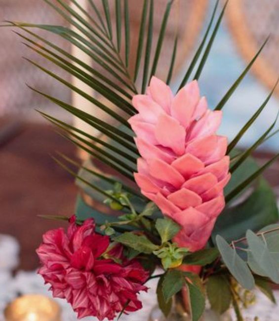 Nombre flores 1