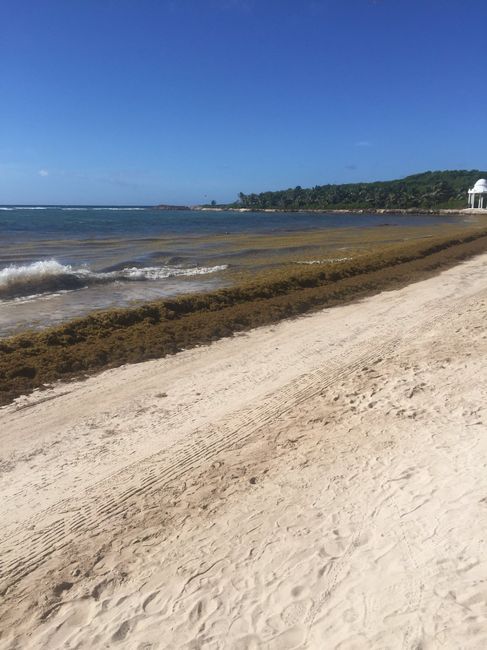 Preocupada por la Riviera maya!!!😲😲 - 2
