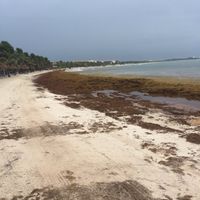 Preocupada por la Riviera maya!!!😲😲 - 1