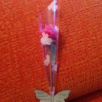 Rosas se regaliz!! - 2