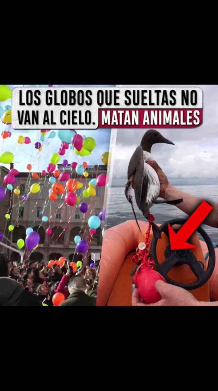 Suelta de globos luminosos - 1