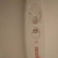 buscadoras de junio 2020🍀🍀 - 1