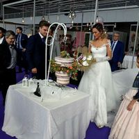  Tarta si o tarta no? - 1