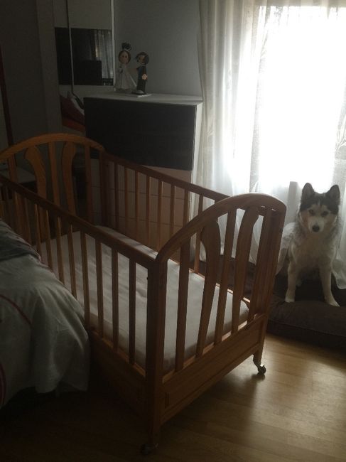 Cuna y hachi