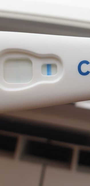 Otro test ratita ligera 