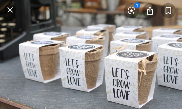 Plantas como detalle para los invitados 2