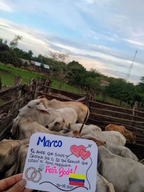 Sorpresa...sorpresa!!!👏👏 - 1