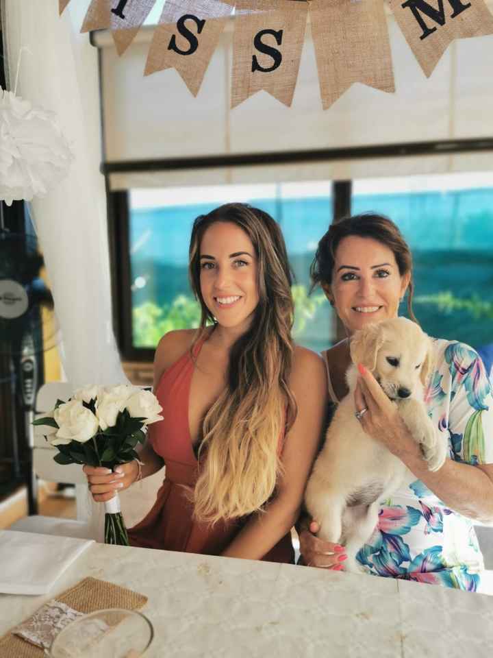 Boda- Parte 1 - 4