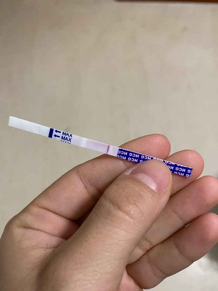 Buscadoras febrero 2021 💜👶🏻✨ - 1