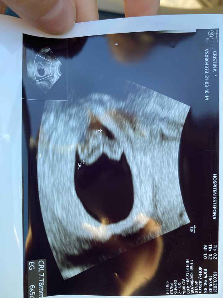 Futuras Mamis Noviembre - 1