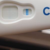 Otro test ratita ligera 