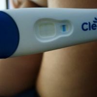 Test embarazo positivo 2 días antes de la llegada regla - 2