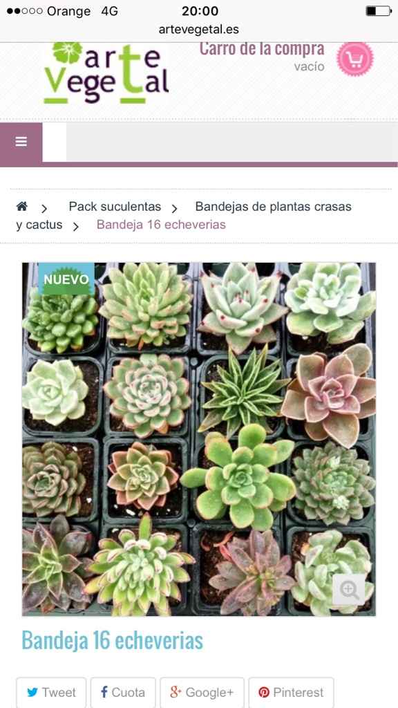 Detalles para invitados - 1