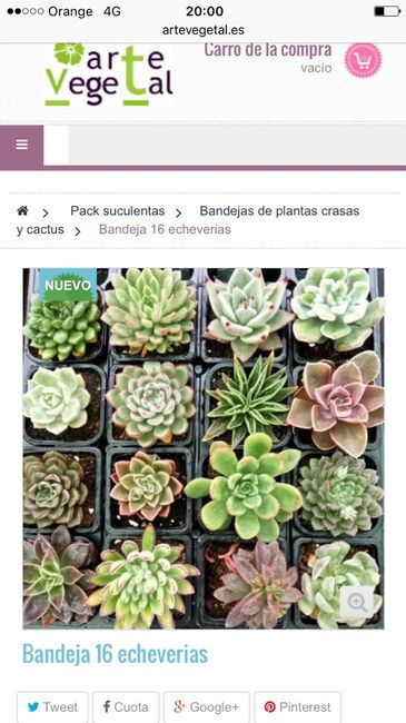 Detalles para invitados - 1