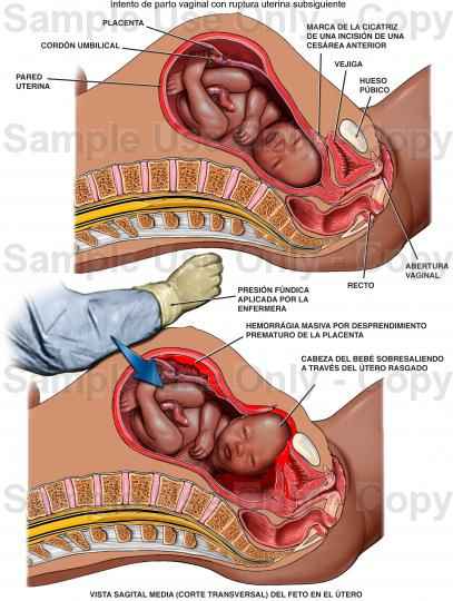 Futuras mamas Diciembre 2020 - 1