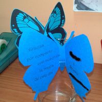 TEXTO MARIPOSAS
