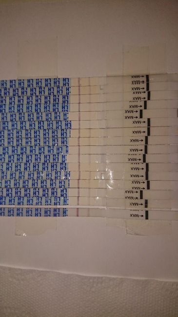 Ayuda con los test de ovulacion!!! - 1