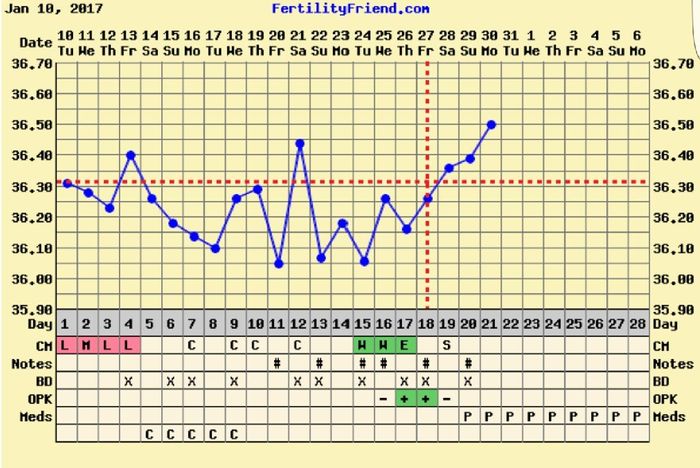 Decálogo de las gráficas de temperatura basal - 1