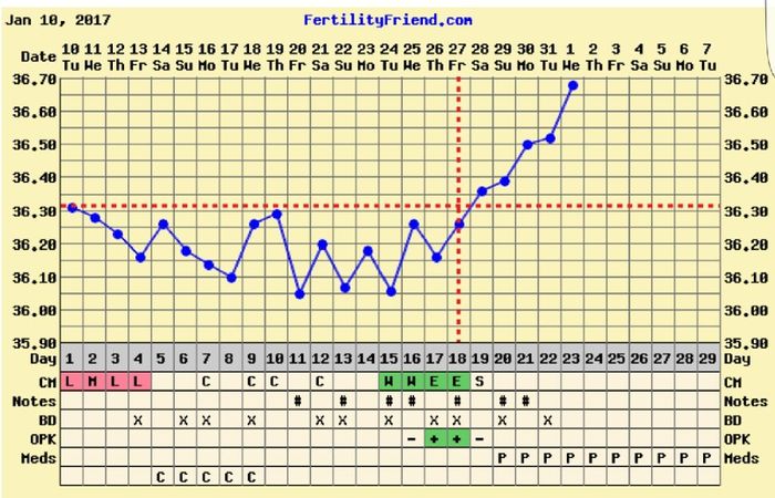 Decálogo de las gráficas de temperatura basal - 1