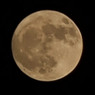 Luna 🌕