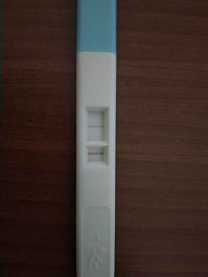 buscadoras febrero 2022 - 1
