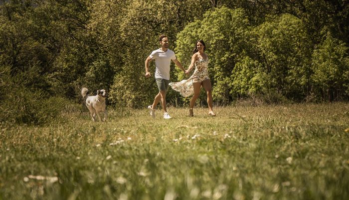¿Cuántos peluditos tenéis? 🐶 5