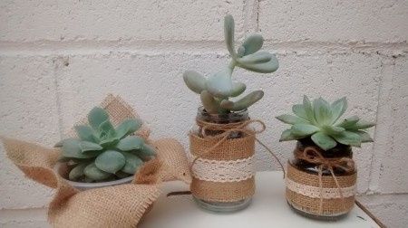 Macetitas de suculentas