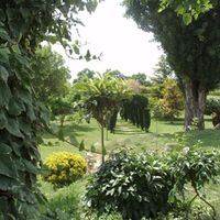 Mas del txep