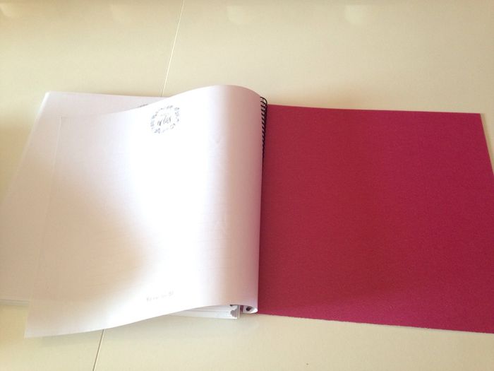 Ya tengo mi agenda molona... - 3