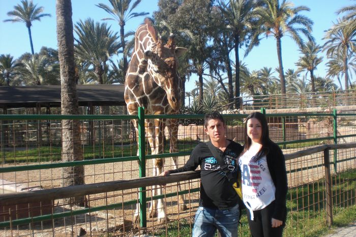 safari de elxe