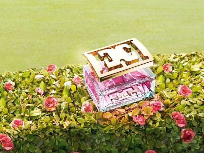 el perfume de la boda