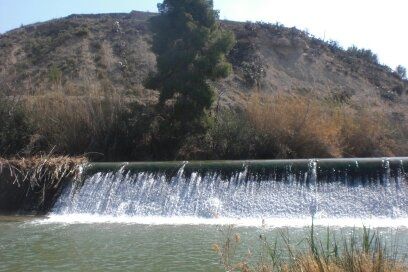 pedida de mano en el jarra