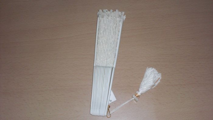 mi abanico para la boda