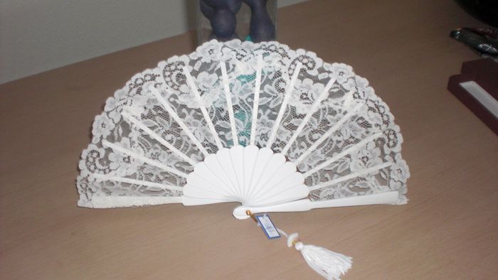mi abanico