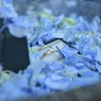 Los anillos