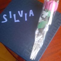 caja testigo