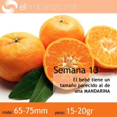 Mandarina