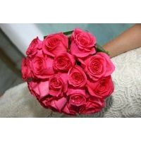 Fucsia intenso