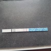 💚Buscadoras Octubre 2021 💚 - 1