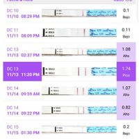 buscadoras de noviembre 🌈❤️ - 1