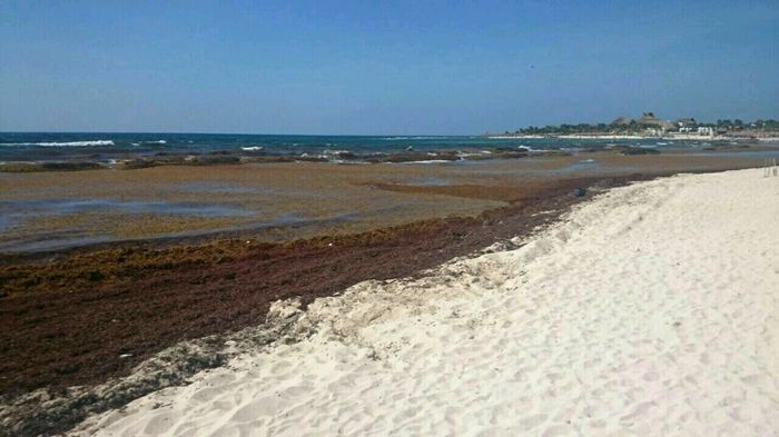 Xfinnn mi viaje de luna de miel ny y riviera maya!! - 1