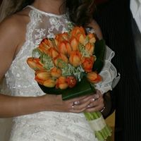 tulipanes 
