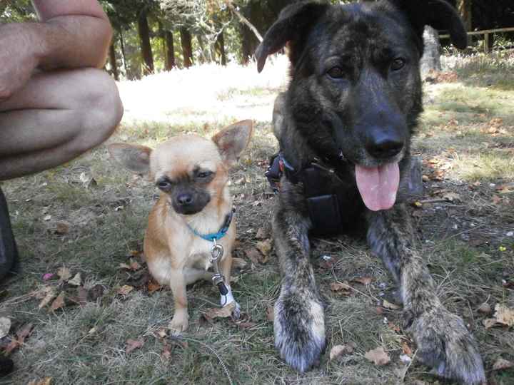 Lor y Piki